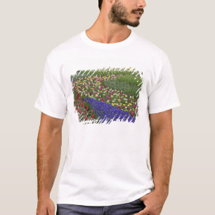 Garden design of Grape Hyacinth, and tulips, T-Shirt