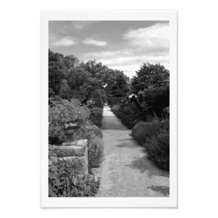 Garden Dream Photo Print