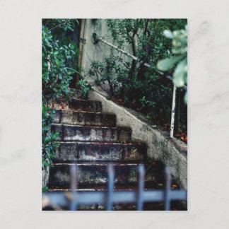 Garden Entrance Postcard