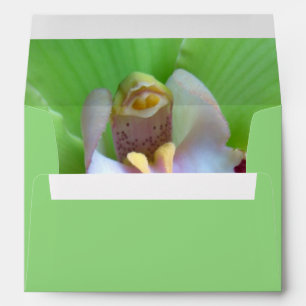 Garden Envelopes