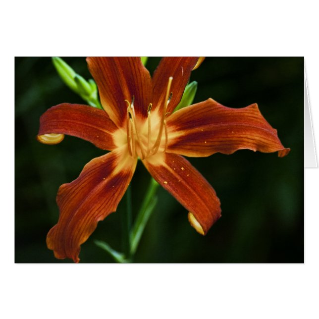 Garden Flame Card (Front Horizontal)