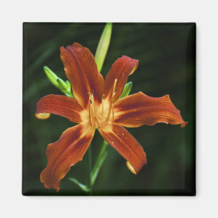 Garden Flame Magnet