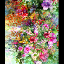 Garden Flowers 