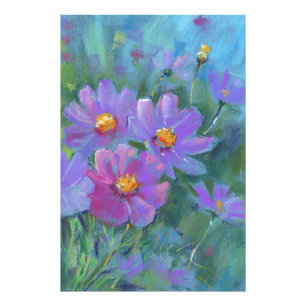 Garden flowers (Cosmos bipinnatus, Mexican aster) Photo Print