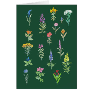 garden flowers postcard