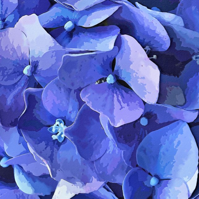 GARDEN FLOWERS POSTER (A watercolor of a beautiful vibrant blue hydrangea.)