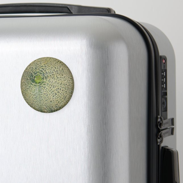 Garden Fresh Cantaloupe Magnet (In Situ (Luggage))