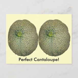 Garden Fresh Cantaloupe Postcard