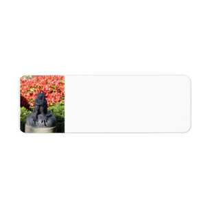 Garden Frog return address label