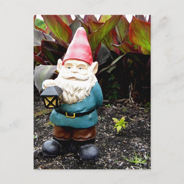 Garden Gnome Postcard (Front)