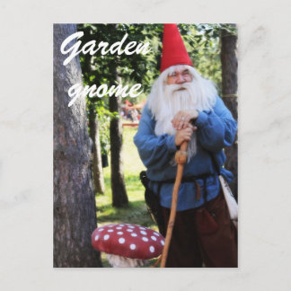 Garden Gnome Postcard