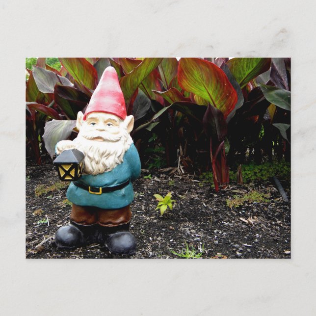 Garden Gnome Postcard (Front)
