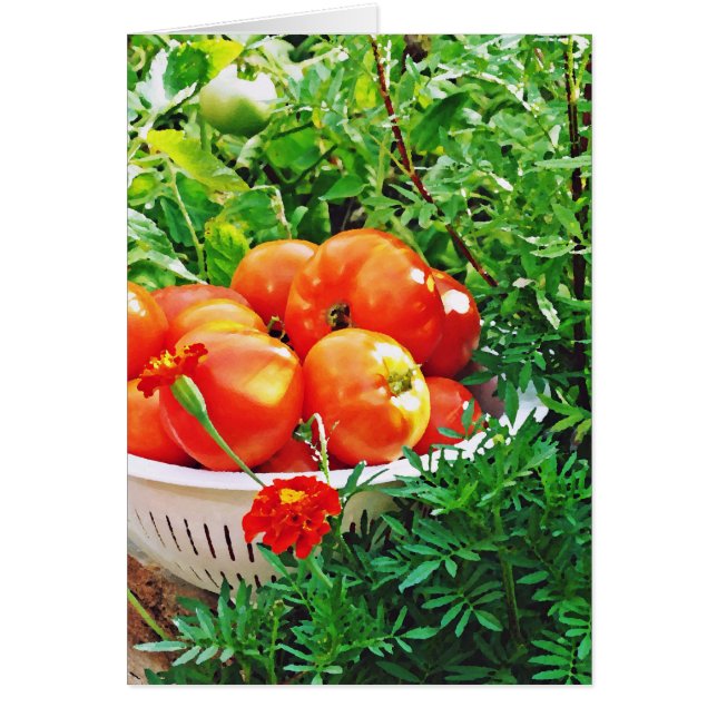 Garden Goodies (Front)