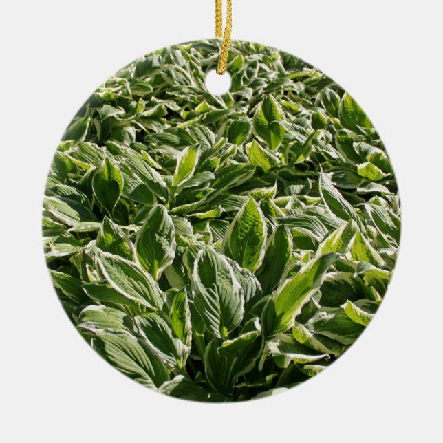 Garden Green Leaves Father's Day Plant Dad Gift Ceramic Ornament (Front)