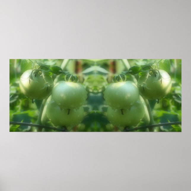 Garden Green Tomatoes Nature Mirror Abstract Poster (Front)