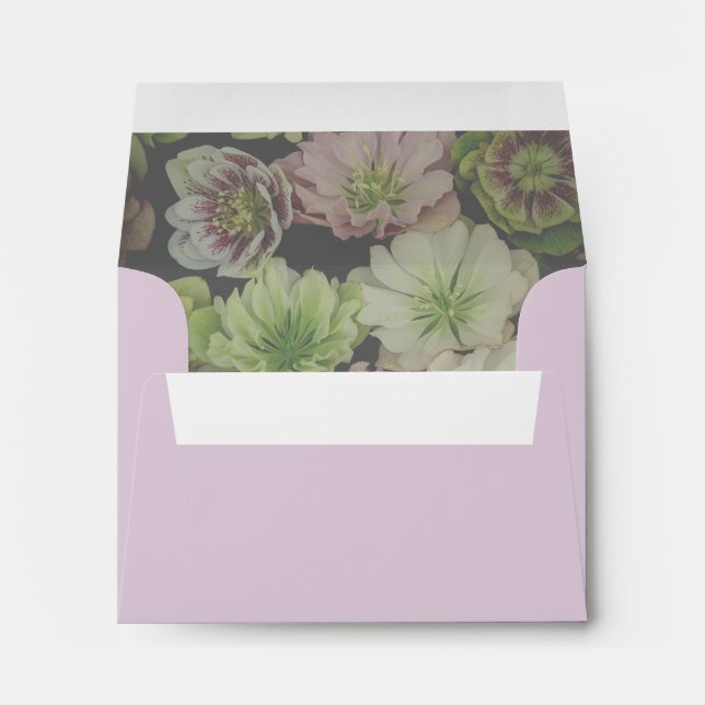 Garden Hellebore Enclosure Card Envelopes (Back (Bottom))