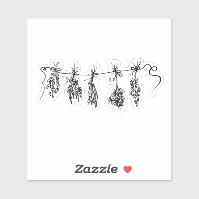 Garden Herbs botanical plant drawing (Sheet)