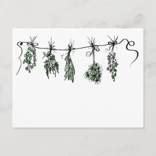 Garden Herbs Postcard