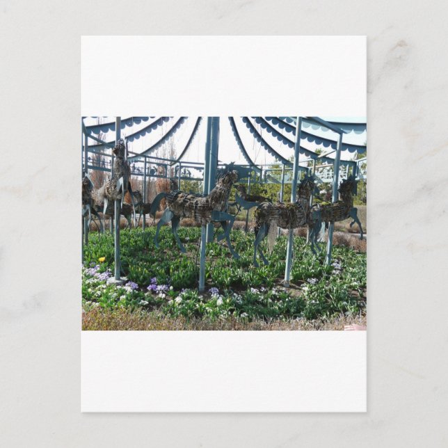 garden horse postcard (Front)