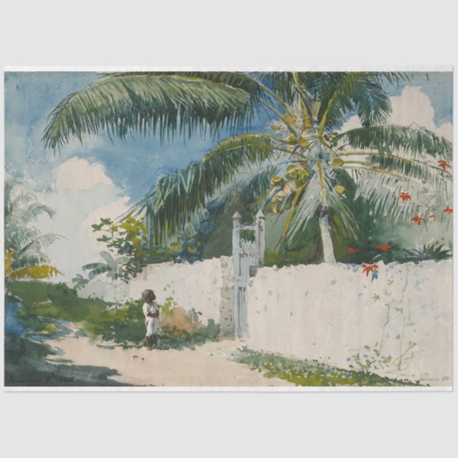 Garden in Nassau (Capital City of the Bahamas) Tissue Paper (Front)