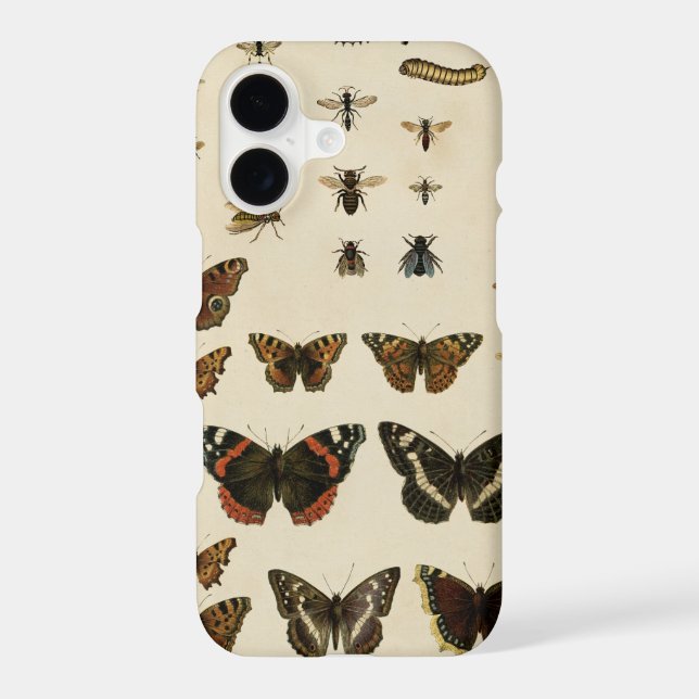 Garden Insects by Vision Studio (Back)