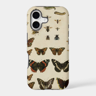 Garden Insects by Vision Studio