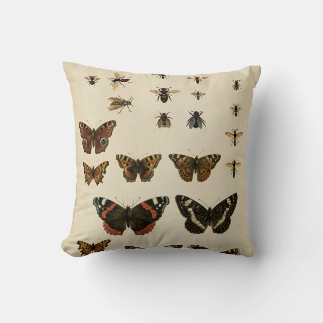 Garden Insects by Vision Studio Cushion (Front)