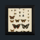 Garden Insects by Vision Studio Gift Box<br><div class="desc">This Vision Studio piece is an entomologists dream! Garden insects are drawn on a cream background,  shown in achingly beautiful detail. If you love insects this is the print for you!</div>