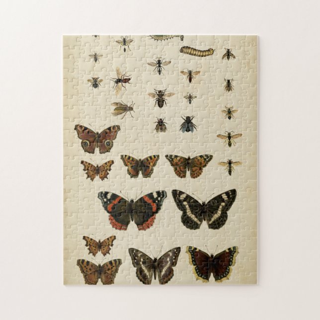 Garden Insects by Vision Studio Jigsaw Puzzle (Vertical)