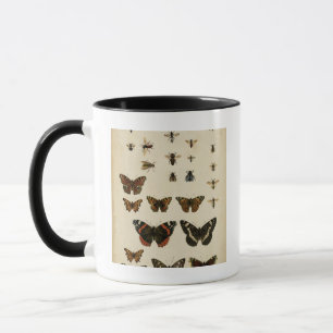 Garden Insects by Vision Studio Mug