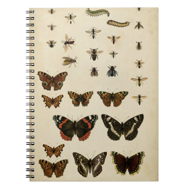 Garden Insects by Vision Studio Notebook (Front)
