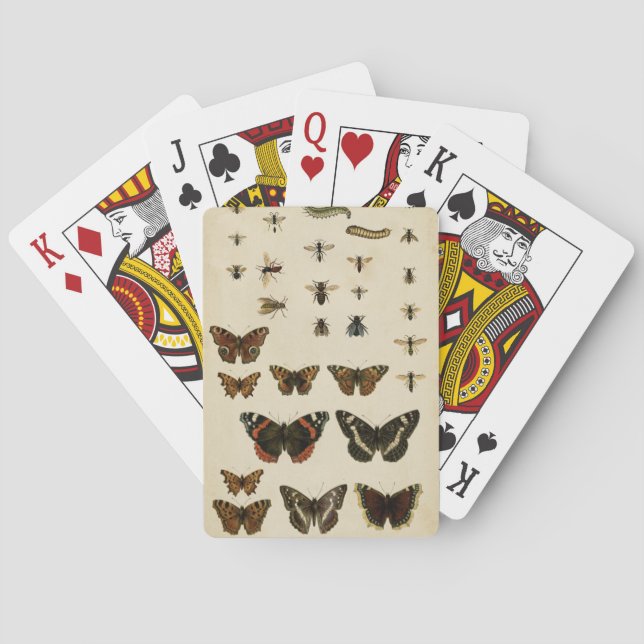 Garden Insects by Vision Studio Playing Cards (Back)