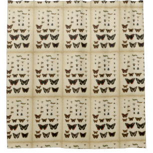Garden Insects by Vision Studio Shower Curtain