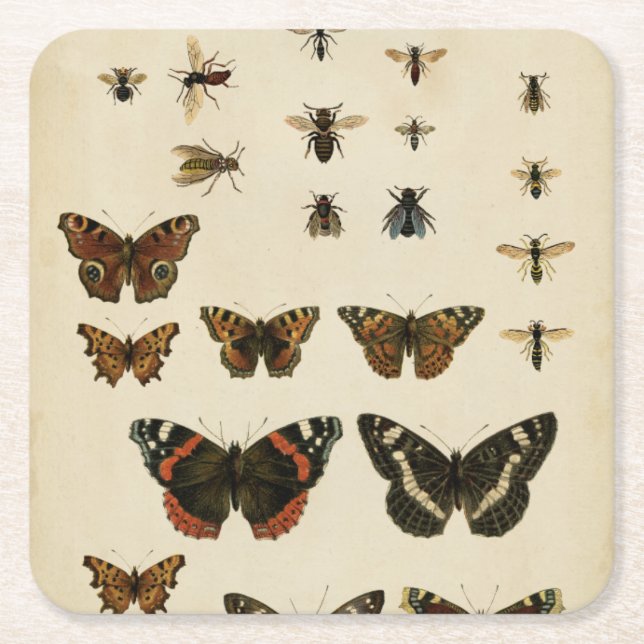 Garden Insects by Vision Studio Square Paper Coaster (Front)