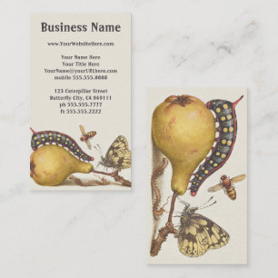 Garden Insects, Fly, Caterpillar, Pear, Centipede Business Card
