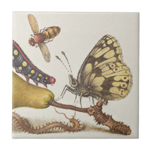 Garden Insects, Fly, Caterpillar, Pear, Centipede Ceramic Tile