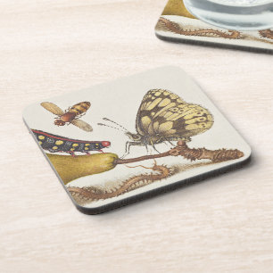 Garden Insects, Fly, Caterpillar, Pear, Centipede Coaster