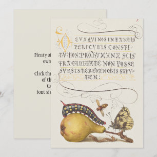 Garden Insects, Fly, Caterpillar, Pear, Centipede Invitation