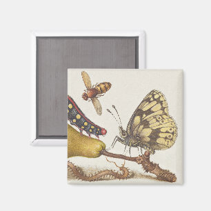 Garden Insects, Fly, Caterpillar, Pear, Centipede Magnet