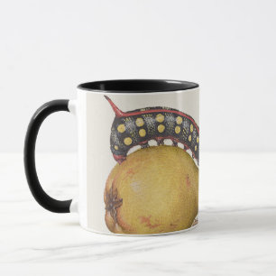 Garden Insects, Fly, Caterpillar, Pear, Centipede Mug
