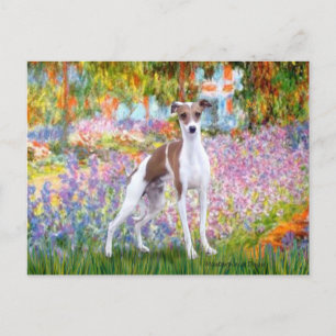 Garden - Italian Greyhound 7 Postcard