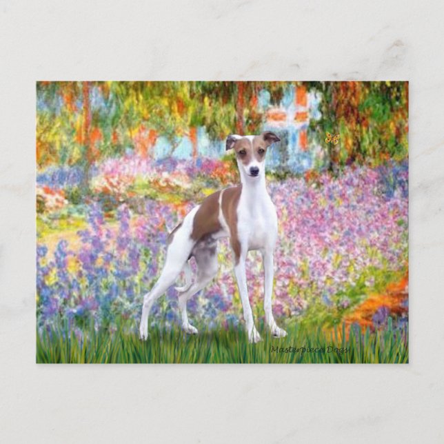 Garden - Italian Greyhound 7 Postcard (Front)