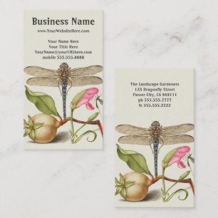 Garden life, Dragonfly, Pear, Carnation and Insect Business Card