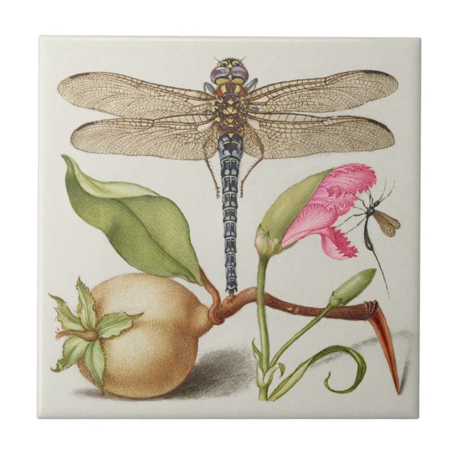 Garden life, Dragonfly, Pear, Carnation and Insect Ceramic Tile (Front)