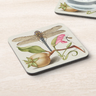 Garden life, Dragonfly, Pear, Carnation and Insect Coaster