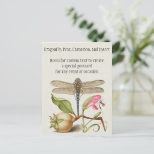 Garden life, Dragonfly, Pear, Carnation and Insect Postcard