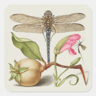 Garden life, Dragonfly, Pear, Carnation and Insect Square Sticker