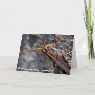 Garden Locust Grasshopper Greeting Card