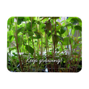 Garden Lover Keep Growing Plants Magnet