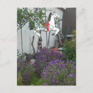 Garden next to General Store near Big Sur Postcard